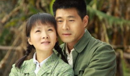 农村的女人电视剧,一部描绘农村女性生活的电视剧