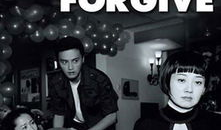 宽恕电视剧剧情简介,爱与救赎的交织之旅